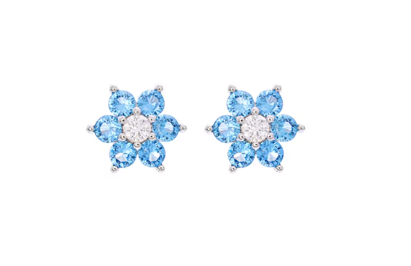 Snow Flake Earrings