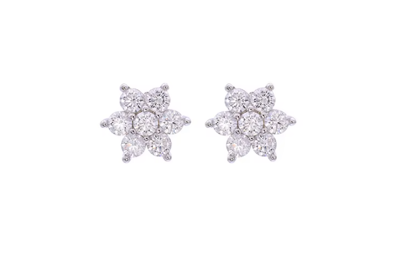 Snow Flake Earrings