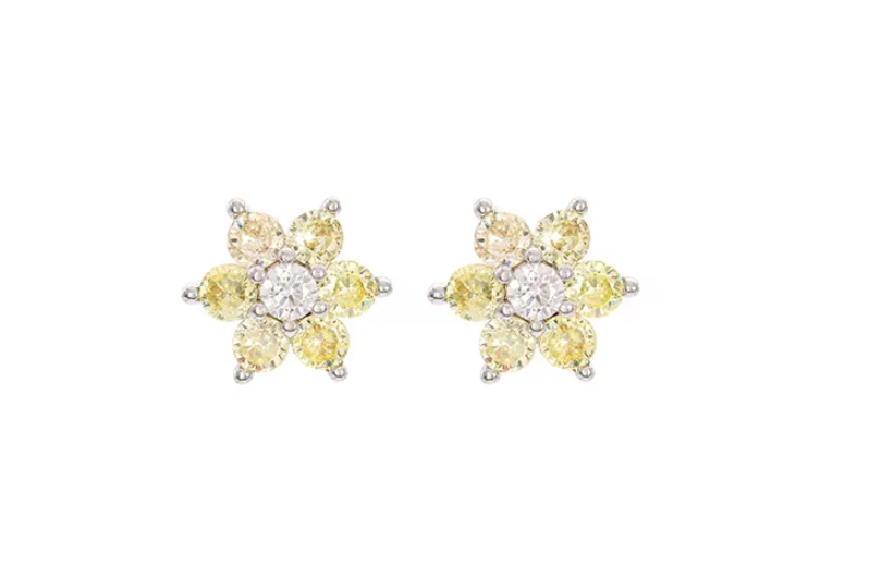 Snow Flake Earrings