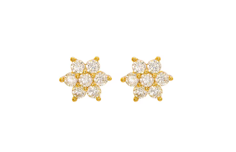Snow Flake Earrings